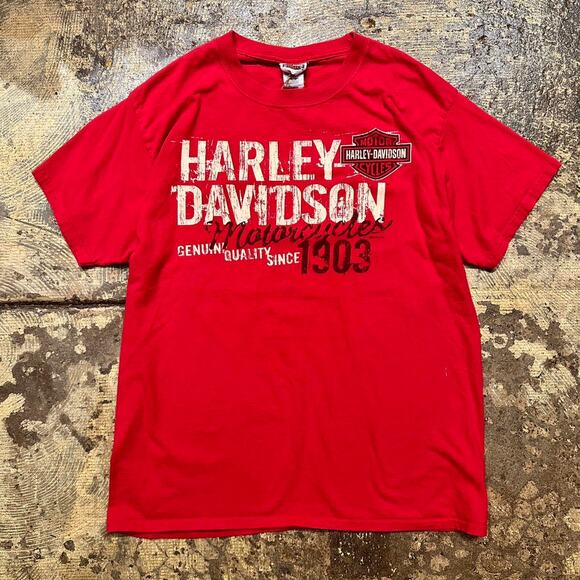 Harley Davidson Other - Vintage harley davidson 1903 williamsport